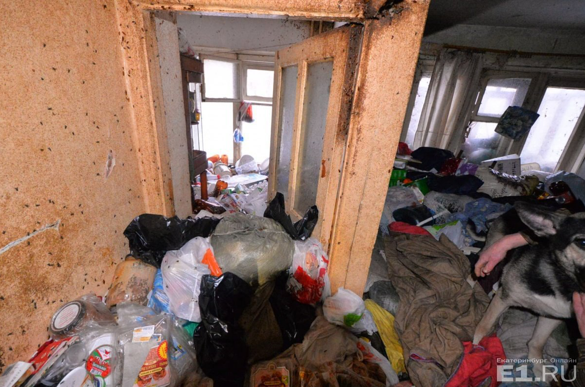 Фото квартири росіянки з полчищами тарганів і мух шокували соцмережу