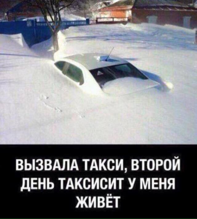 Пітон зі смайликом і "котопологи": кращі анекдоти та приколи за 17 січня