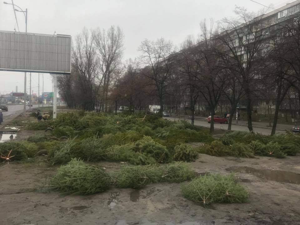 "Тупорылые твари!" Киевлян шокировало зеленое "кладбище" на дороге
