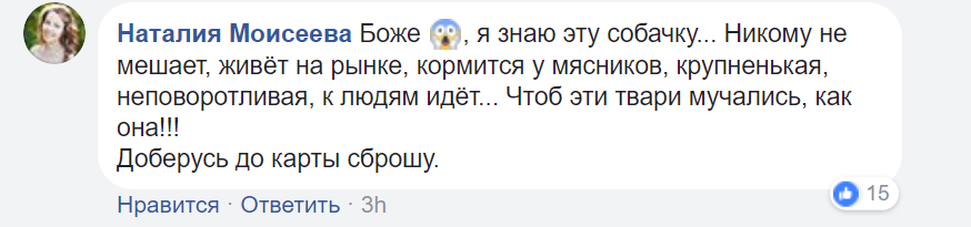 "Отметил год Собаки": киевский живодер шокировал сеть жестоким поступком