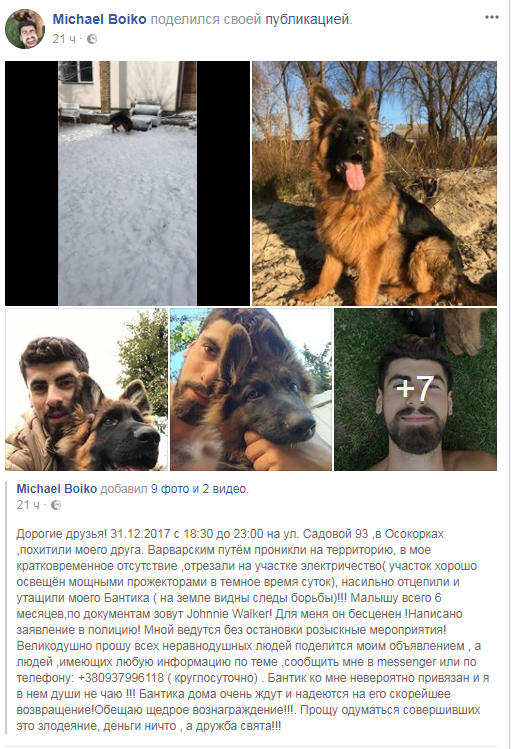 Объявлено огромное вознаграждение: в Киеве варварским способом похитили щенка
