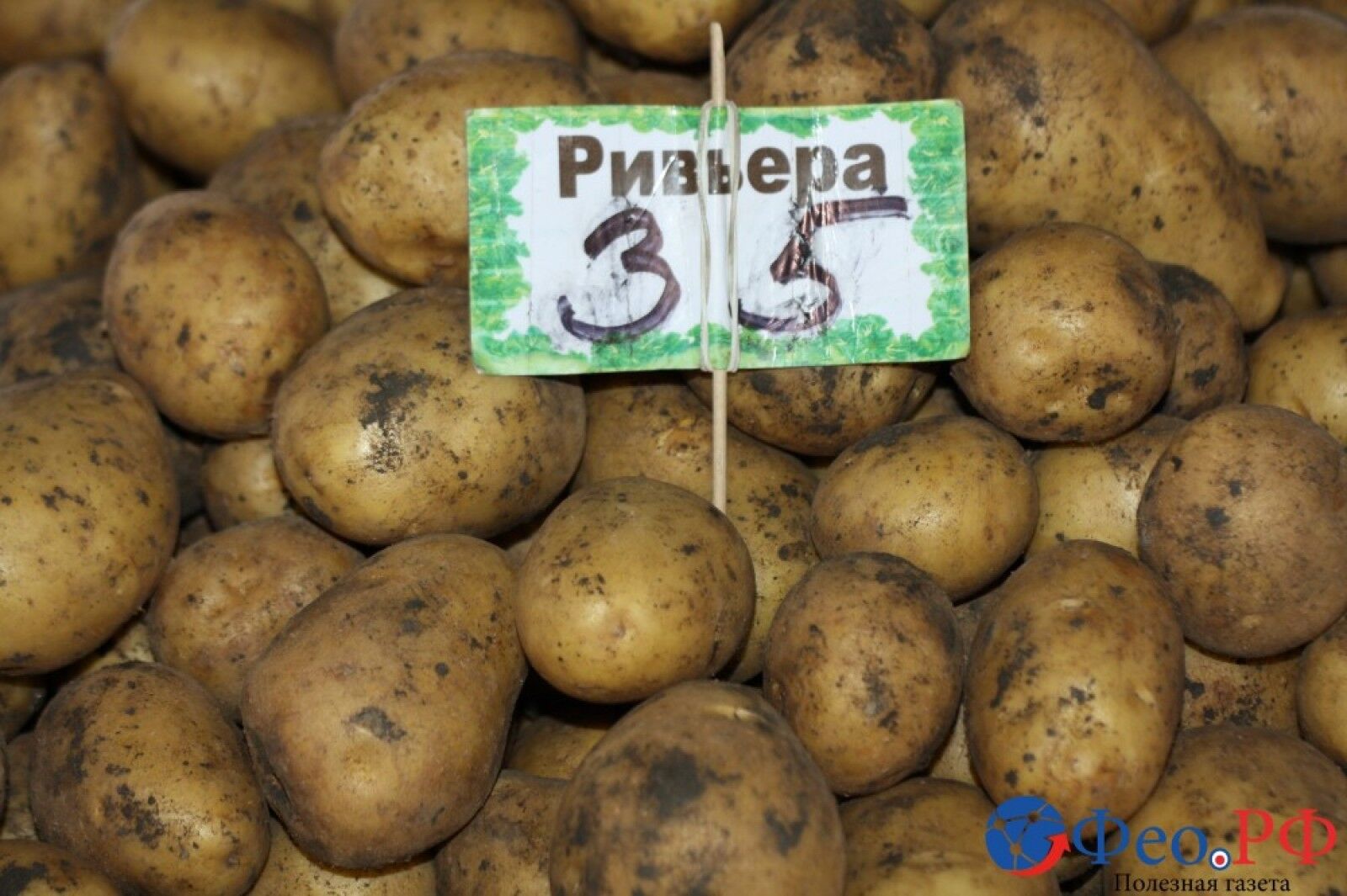 Закінчилися гроші: у мережі показали захмарні ціни на продукти в Криму