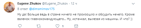 "Коровья лепешка": сеть озадачило странное изображение на валенках Путина