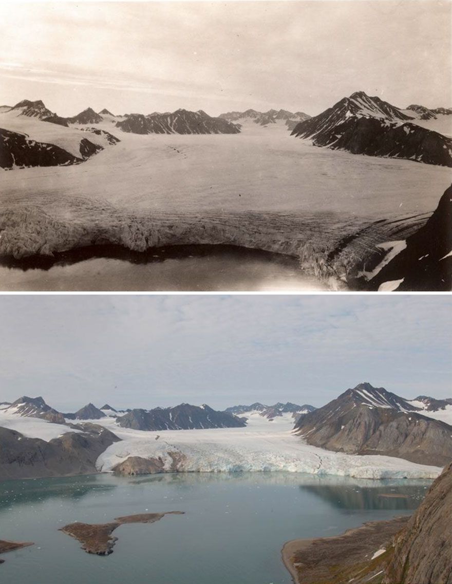 Таяние льдов в Арктике: фотограф показал шокирующие снимки