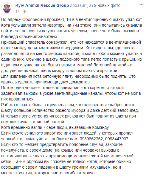 Доставали сачком: в Киеве жителей напугали странные звуки из шахты дома