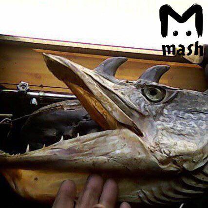 В России поймали рыбу, похожую на дракона: опубликовано жуткое фото