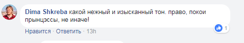 "Домик принцессы" в центре Киева взбудоражил жителей