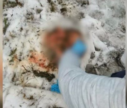 Крушение вертолета в Кременчуге: на месте трагедии нашли голову одного из пилотов