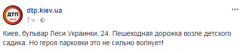 Перекрыл дорогу в детсад: в Киеве герой парковки взбесил сеть