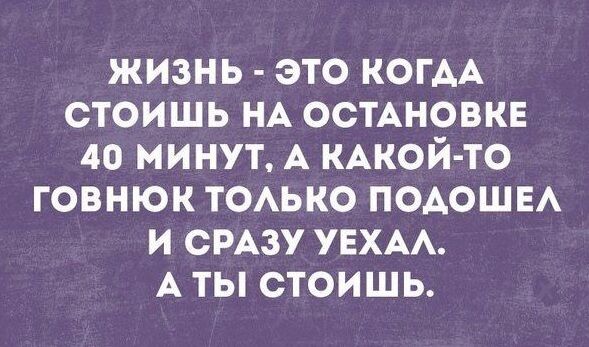 Анекдоты и приколы за 4 января: лучшее из соцсетей