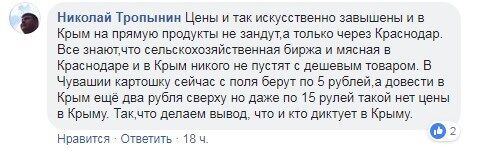 ''На цінник це не вплине'': у Криму заявили про розчарування скандальним мостом Росії