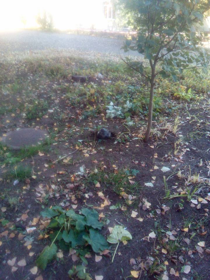 ЧП в Лисичанске: во двор школы упала часть ракеты