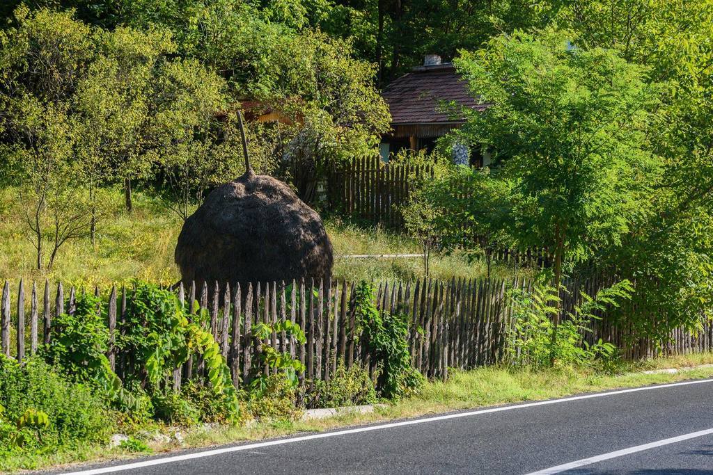 Батьківщина Дракули: опубліковані яскраві фото з Румунії