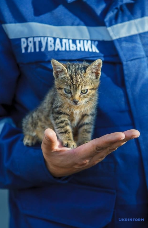 В Украине спасатели запустили акцию добра