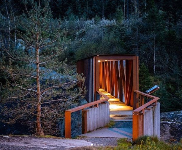 Архитектурный шедевр в лесной глуши Норвегии: фото