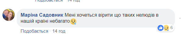 "Через порвану купюру": водій у Луцьку розлютив мережу жорстоким поводженням із дитиною