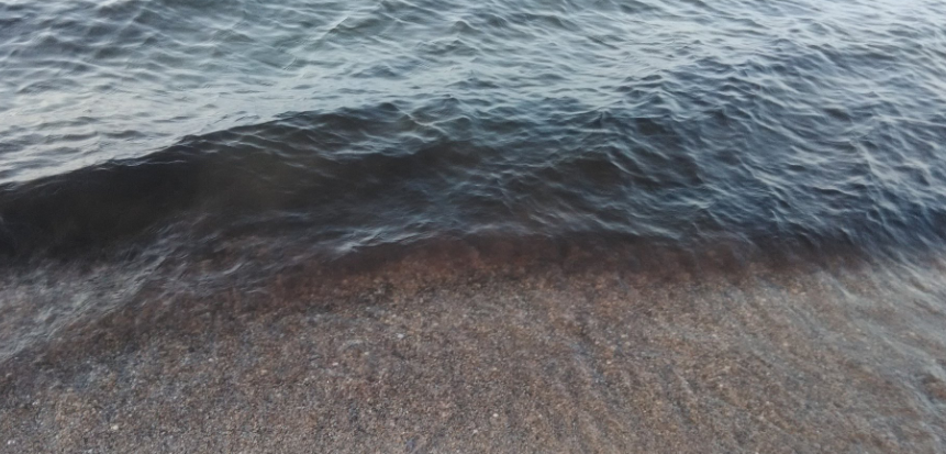 Фіолетове море і сморід: в Криму заговорили про нову екологічну катастрофу