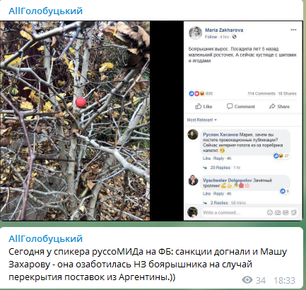 ''Замість диппошти аргентинців'': Захарову підняли на сміх через глід
