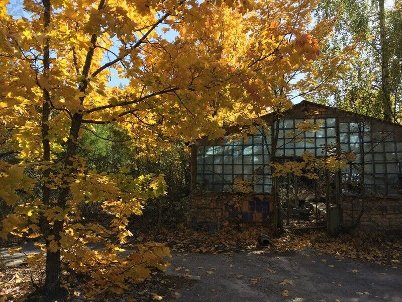 Як виглядає знамените ''мертве'' місто України восени: фото