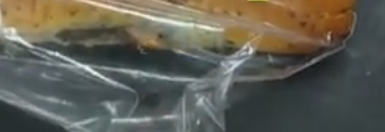 Хліб із комахами: у відомому супермаркеті помітили тарганів