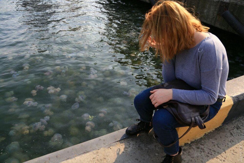 В Одесі помітили навалу медуз: лякаючі фото