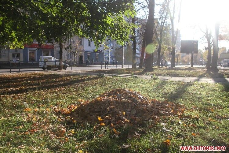 Парки и скверы осеннего Житомира: в сети появились красочные фото