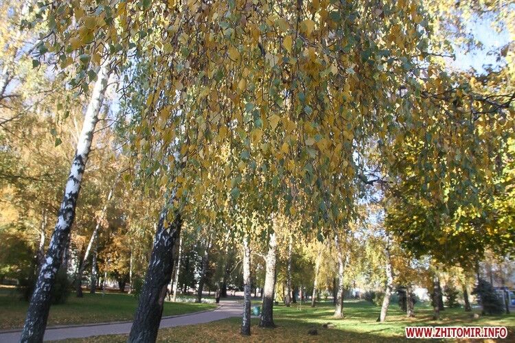 Парки и скверы осеннего Житомира: в сети появились красочные фото