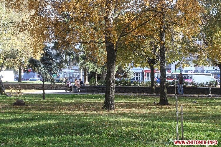 Парки и скверы осеннего Житомира: в сети появились красочные фото