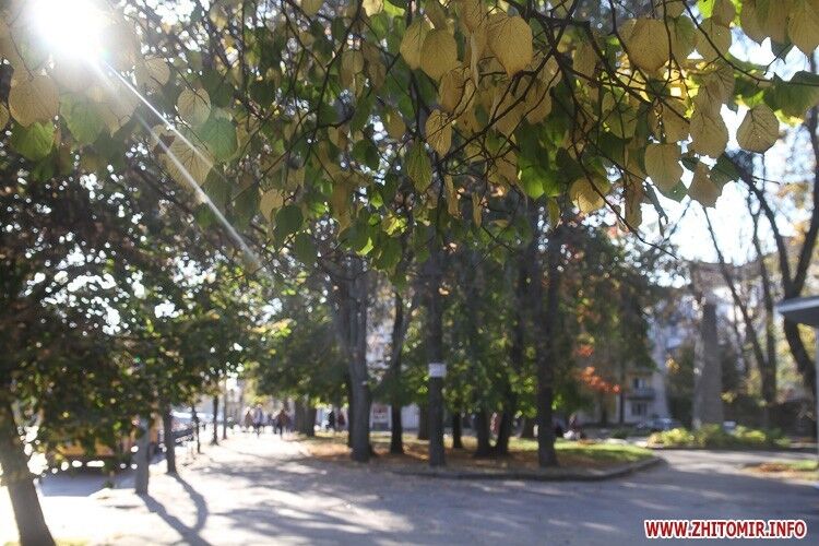 Парки та сквери осіннього Житомира: у мережі з'явилися барвисті фото