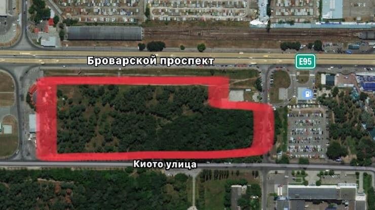 В Киеве отравили более 400 деревьев: подробности инцидента