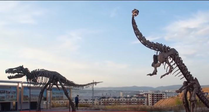 У Китаї показали величезних динозаврів: кістки знайшли на будмайданчику