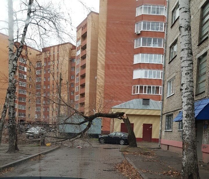 По России пронесся страшный ураган: опубликованы фото