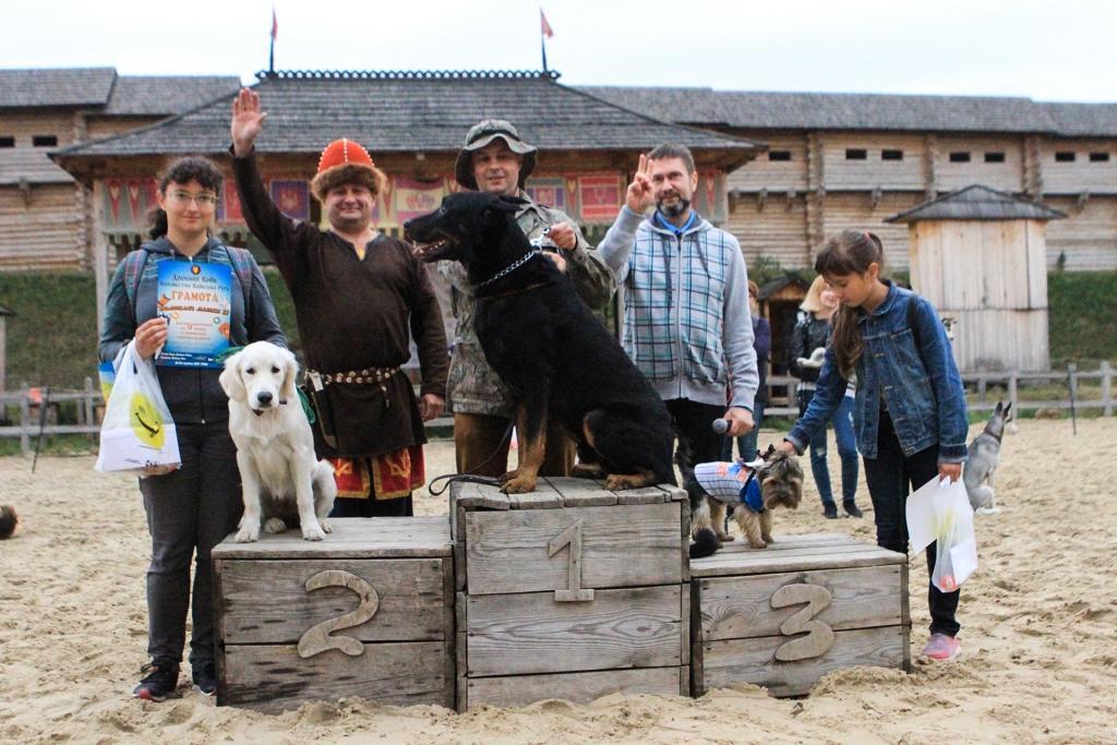 Под Киевом пройдет фестиваль собак "Лохматые лапки"