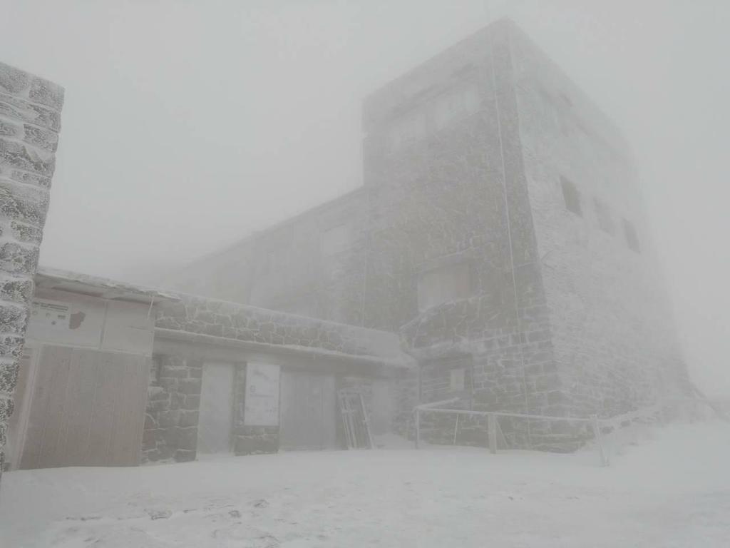 В Карпаты пришла настоящая зима: опубликовано фото метели