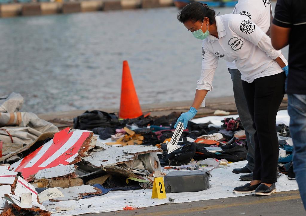 Авиакатастрофа в Индонезии: пассажир успел отправить перед смертью фото жене