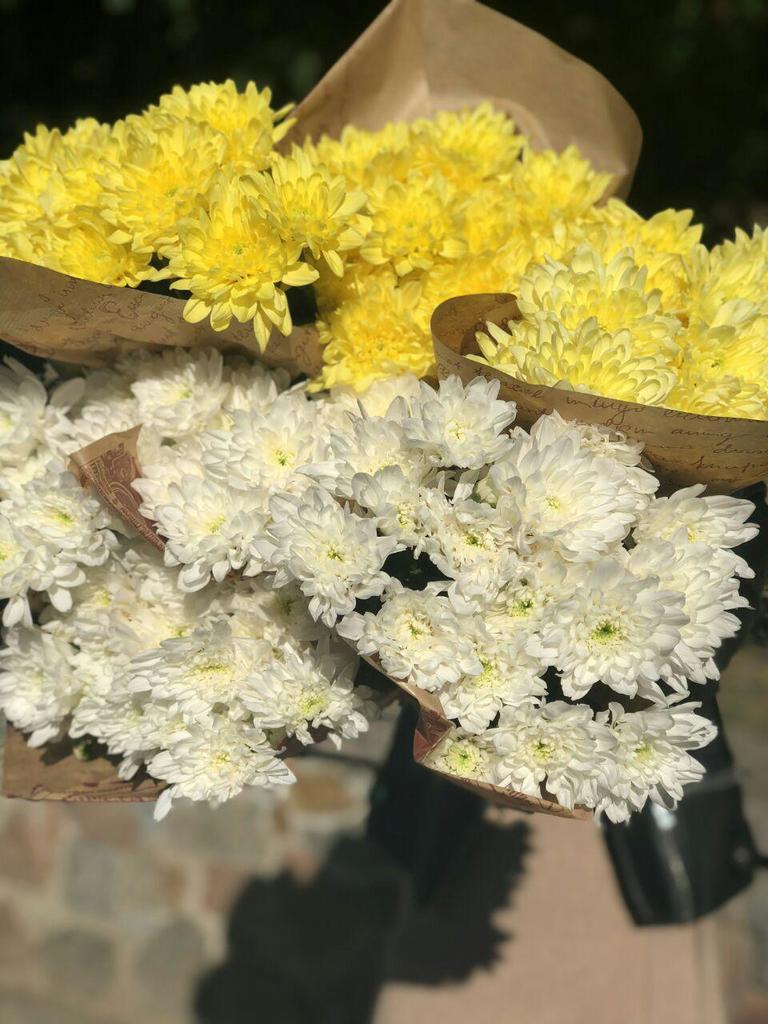 На Певческом поле в Киеве открылась выставка хризантем