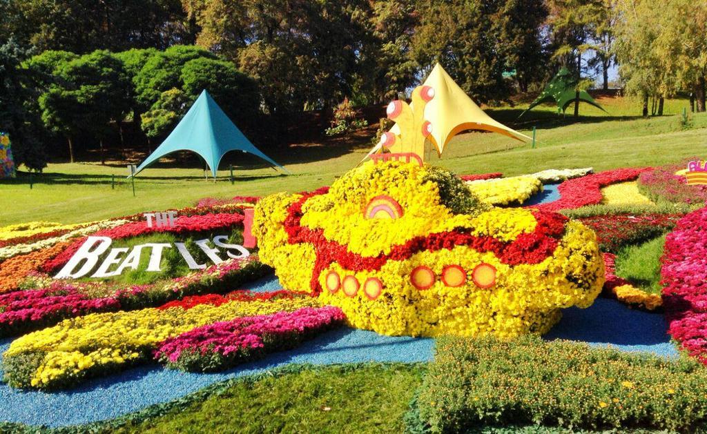 На Певческом поле в Киеве открылась выставка хризантем