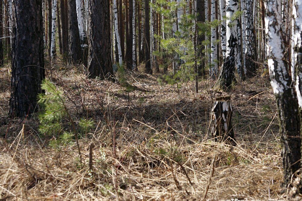 В Запорожской области нашли полуобнажённый труп пенсионерки