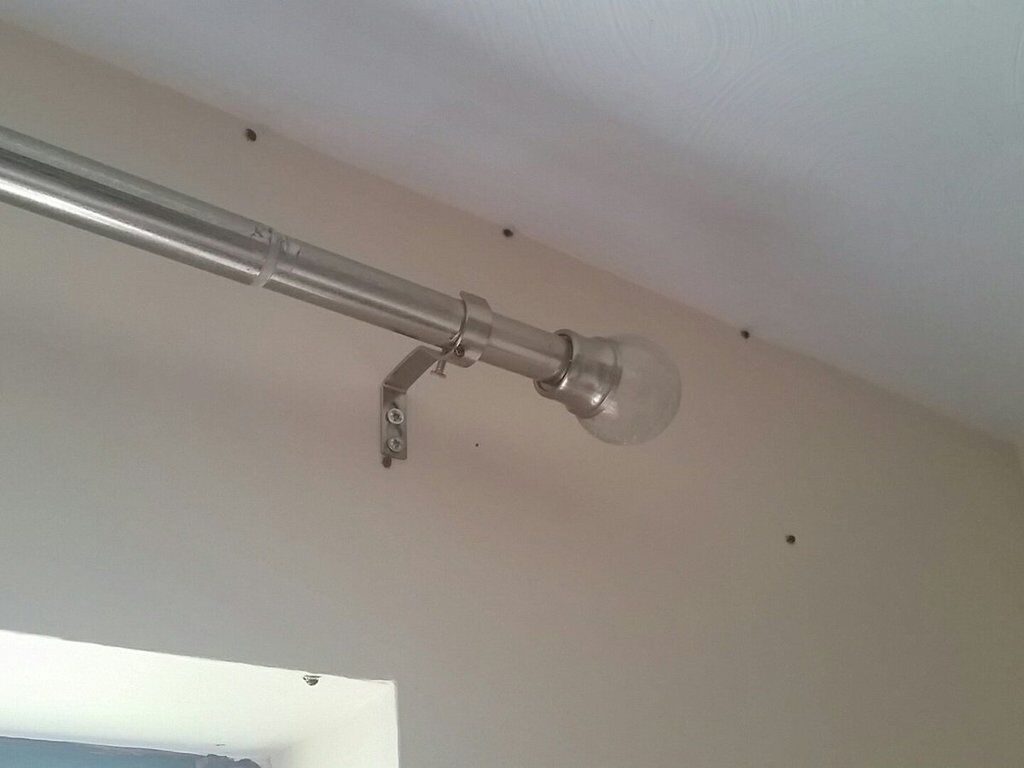 ''Они везде!'' Британию испугало массовое нашествие насекомых