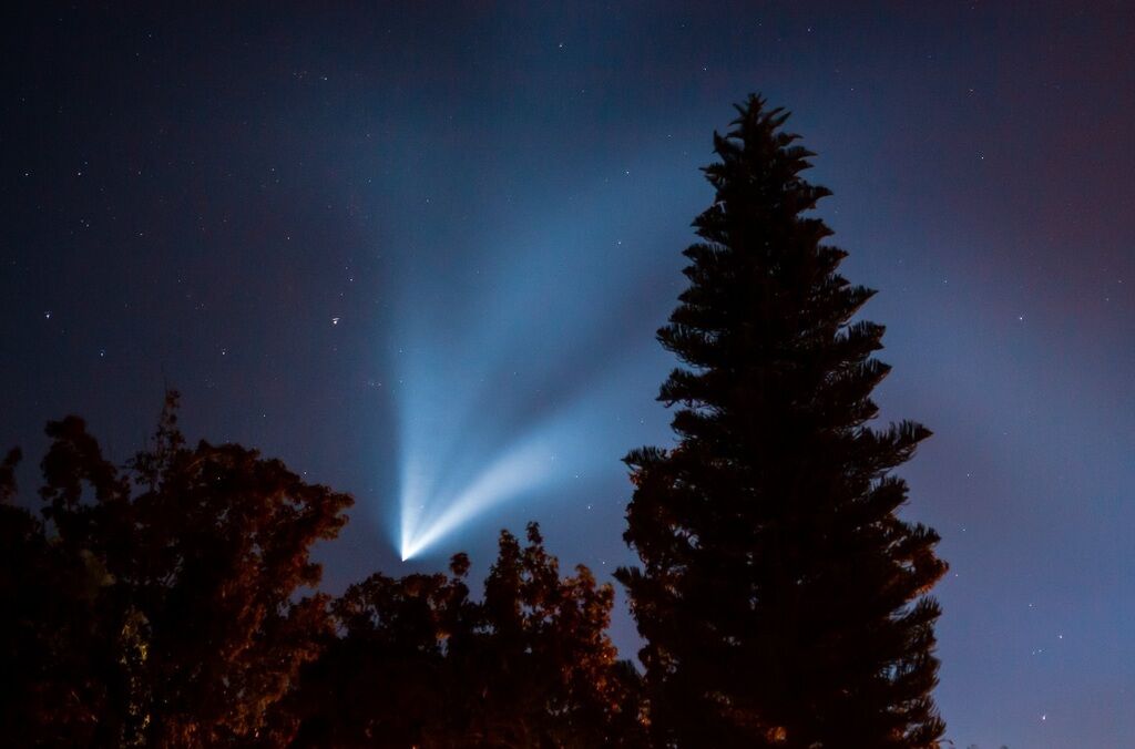 Запуск новой ракеты Илона Маска:  в сети появились яркие фото и видео
