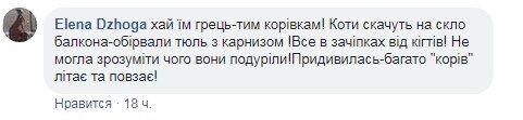 ''Лізуть у всі щілини!'' Жителів Києва атакувала навала страшних комах