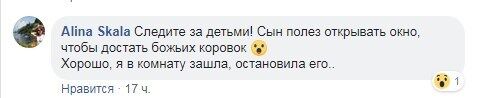 ''Лезут во все щели!'' Жителей Киева атаковали полчища жутких насекомых