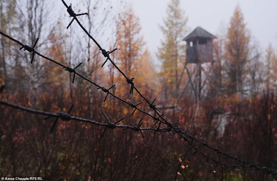 Поховала тисячі в'язнів ГУЛАГу: фотограф показав лякаючі знімки з ''дороги смерті'' Сталіна