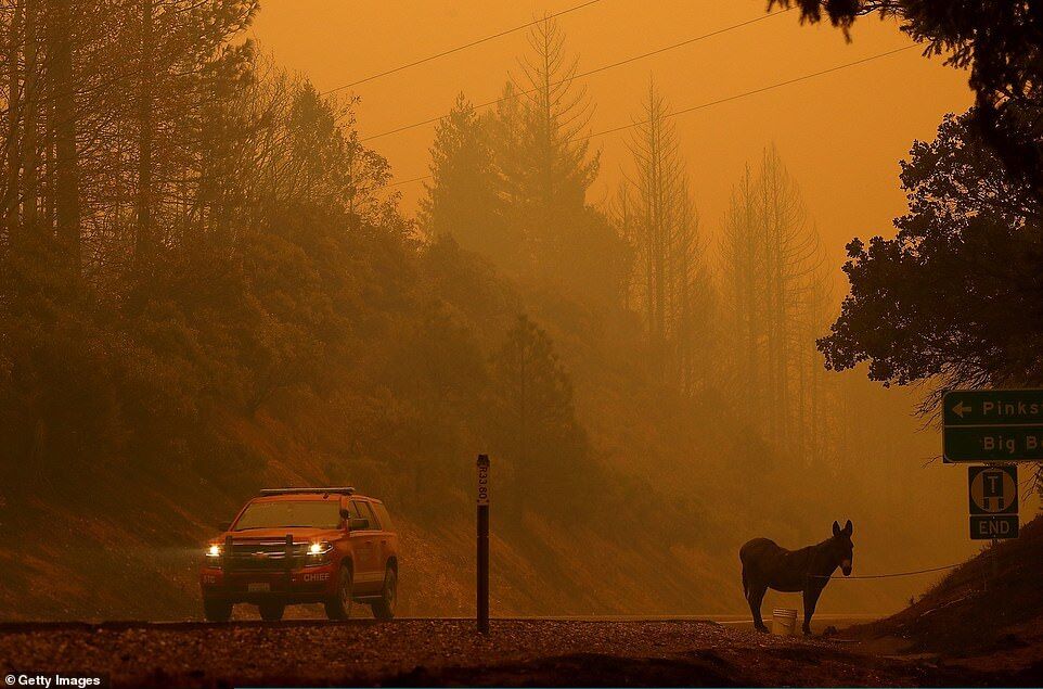 Адский пожар в Калифорнии молниеносно набирает обороты: новые страшные фото 