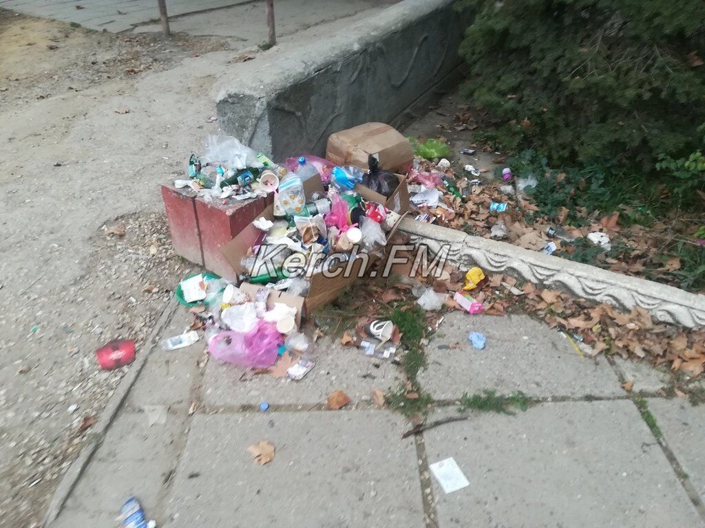 ''Никогда такого не было'': в Керчи показали, как город утопает в мусоре