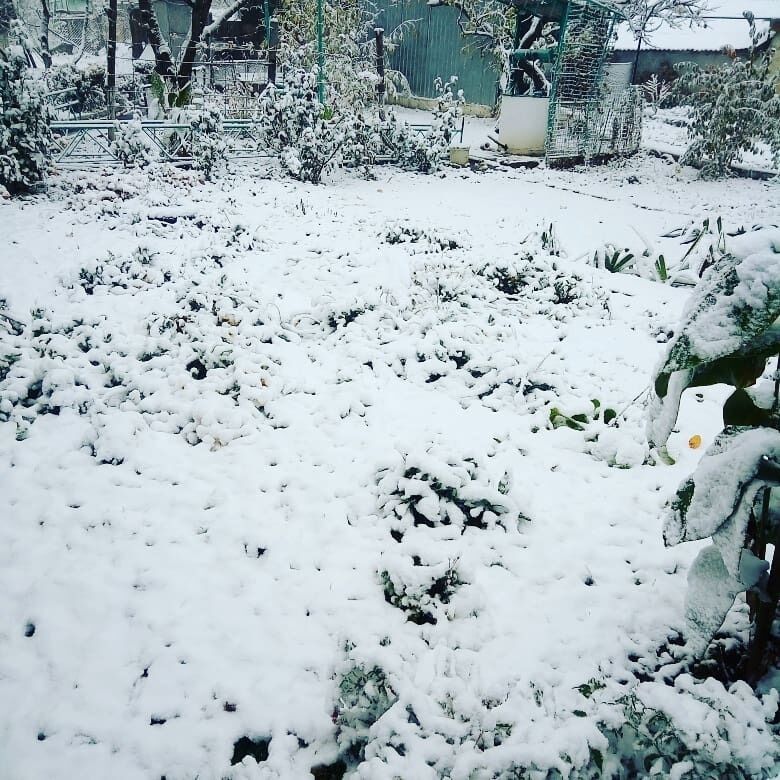 У Криму випав перший сніг: з'явилися фото