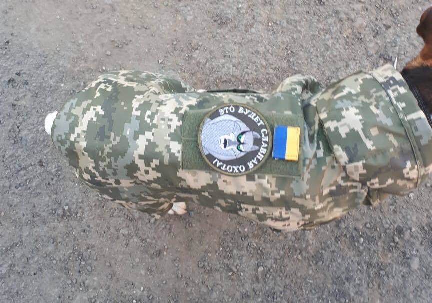 Воины на Донбассе сшили форму фронтовому песику: милое фото