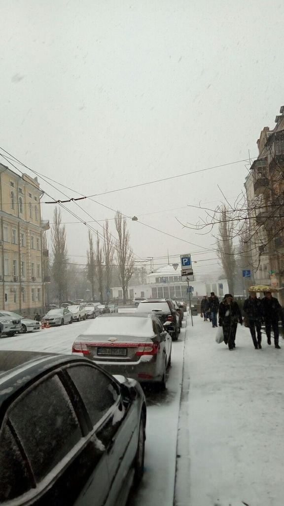 Киев замело снегом: появились невероятные фото и видео 