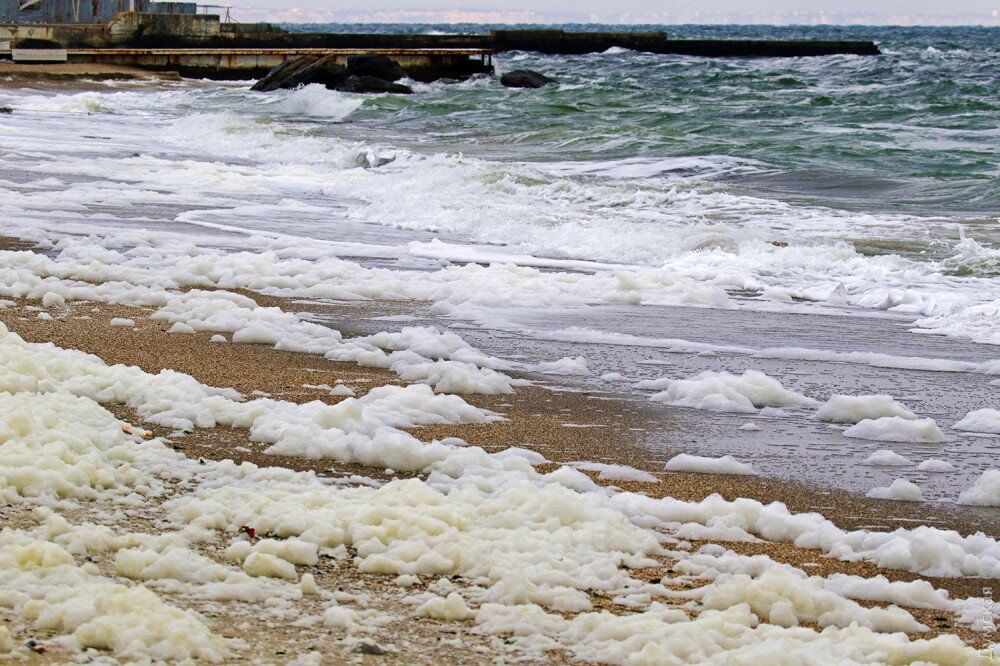 На пляжах Одессы заметили необычное явление