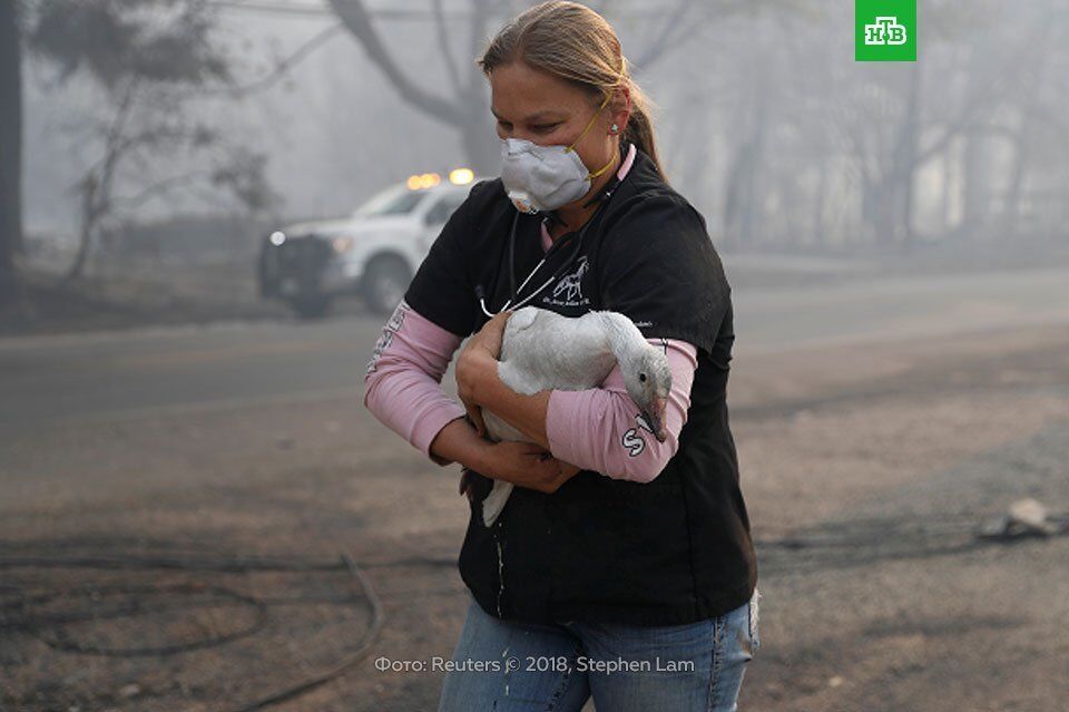 Полум'я не щадить нікого: рятувальники США поділилися зворушливими фото